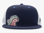 HIPPO YOUTH BASEBALL HAT