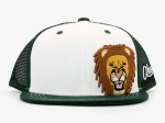 LION YOUTH BASEBALL HAT